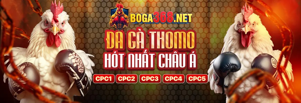 Giao diện ứng dụng cá cược uy tín trên điện thoại di động với các tính năng hiện đại