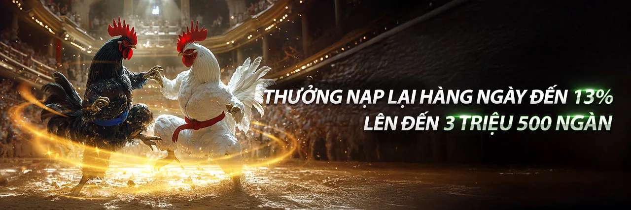 Hình ảnh chính về đá gà trực tuyến trên ứng dụng nhà cái uy tín